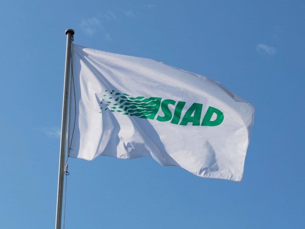 White flag with green SIAD logo waving against a clear blue sky