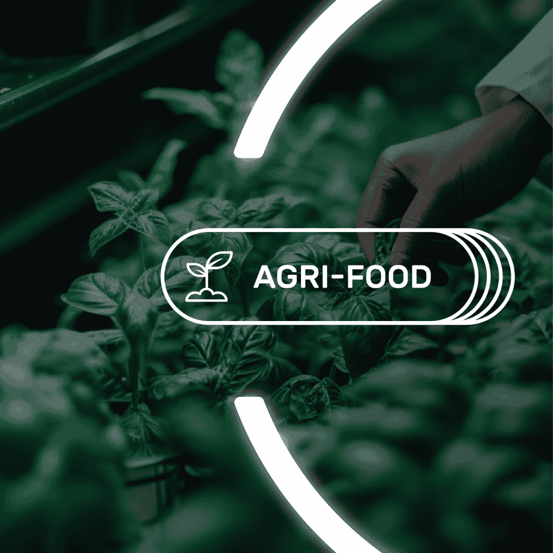 Hand inspecting fresh green plants in an agri-food greenhouse, symbolizing sustainable farming